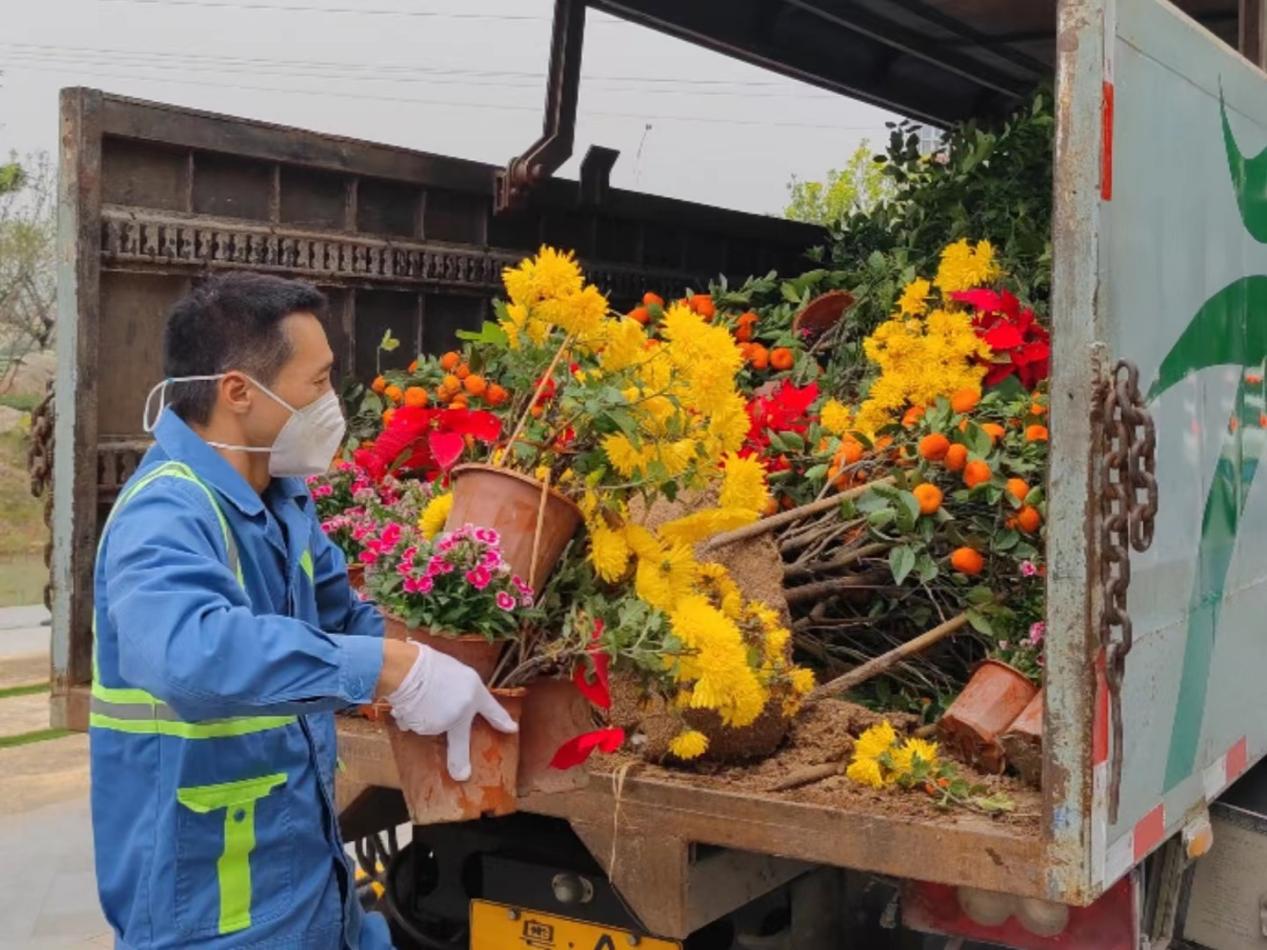 环卫工人搬运年花年桔