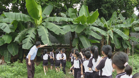 瓜果飘香季 马龙小学师生同乐采摘2.jpg