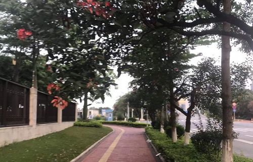 顺德龙江全域文旅再落一子!朝阳农场文旅开发正式签约 顺德龙江全域文旅再落一子!朝阳农场文旅开发正式签约