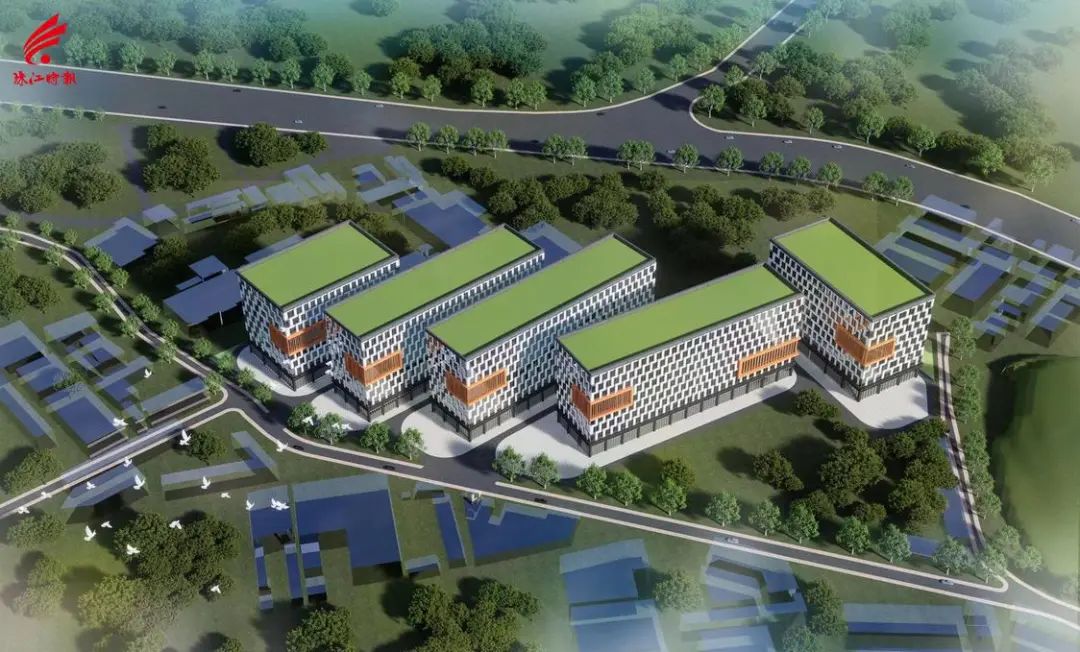 广佛交界又一靓地摘牌!大沥藤编,潮起来! 广佛交界又一靓地摘牌!大沥藤编,潮起来!