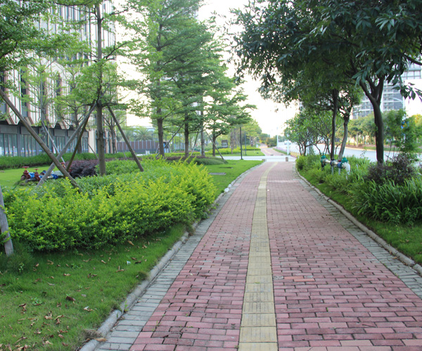 高明杨和镇绿化保洁服务项目招标公告