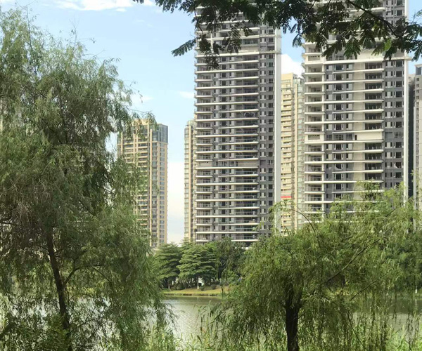 禅城区南庄镇上元村新社屋 (高厅)资产处置竞投公告