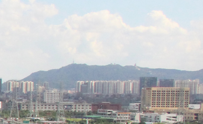 顺德北滘城央体育公园项目代建招标公告