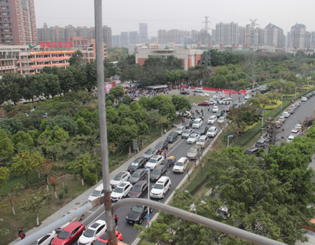 沥桂大桥：连接繁荣的纽带