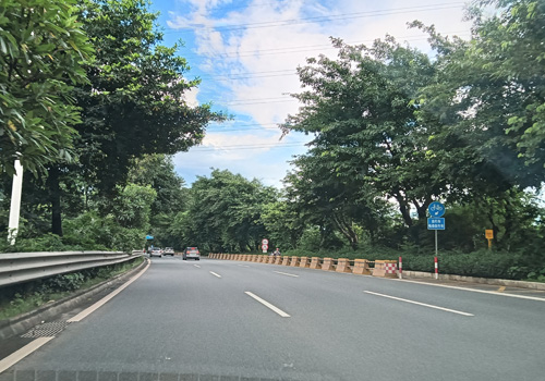 梅园大道:南海区的绿色走廊 梅园大道:南海区的绿色走廊