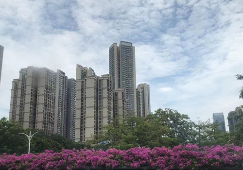 佛山市南海区平洲行政休闲广场——城市中的绿洲 佛山市南海区平洲行政休闲广场——城市中的绿洲