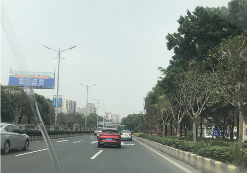 顺德都宁路:繁华与宁静共融的城市脉络 顺德都宁路:繁华与宁静共融的城市脉络
