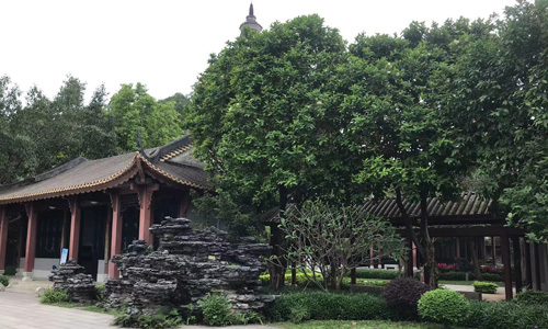 镇北公园:顺德的宁静休闲港湾 镇北公园:顺德的宁静休闲港湾