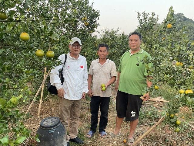 佛山农技在德庆皇帝柑果农推广应用首获成功 佛山农技在德庆皇帝柑果农推广应用首获成功