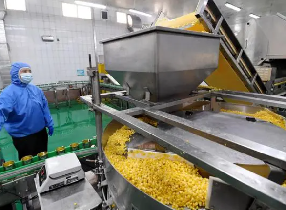 河北晋州:发展农产品深加工为县域经济注入强劲动力 河北晋州:发展农产品深加工为县域经济注入强劲动力