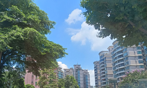 广州地铁“看海专列”,安排上了 广州地铁“看海专列”,安排上了
