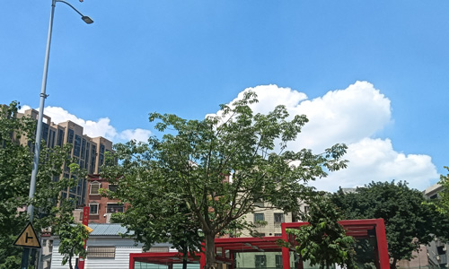 佛山市顺德区伦教街道南苑路4号2楼培训室公开招租项目 佛山市顺德区伦教街道南苑路4号2楼培训室公开招租项目