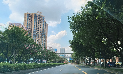 佛山市二医院绿岛湖院区全面运行