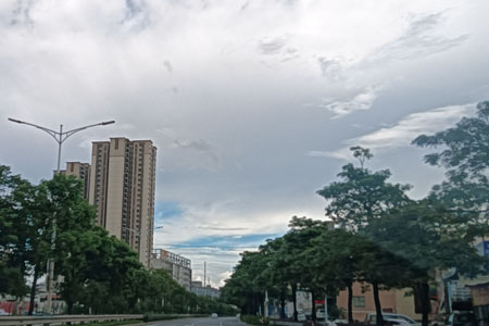 南海里水镇凤江路1号南区土地及地上建筑物整体出租项目