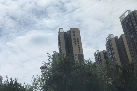 顺德区级水质自动监测站运行维护服务招标公告 顺德区级水质自动监测站运行维护服务招标公告