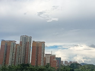 佛山市高明区富硒丝苗米产业园烘干中心招租项目（第三次）