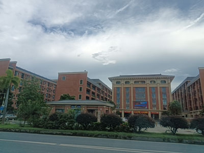 2026年佛山市顺德区（家电）知识产权快速维权中心公开招聘事业编制人员公告