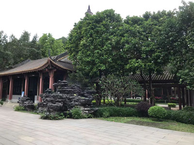 三水云东海电子信息智造科技园项目施工招标公告